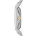 Skagen Women's 'Anita' Quartz Stainless Steel Casual Watch, Color:Two Tone (Model: SKW2321)