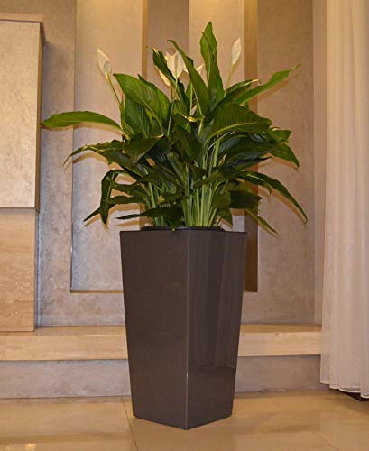 MELTOM Pflanzkübel aus Kunststoff in Hochglanz Farbe: Anthrazit mit Herausnehmbaren Einsatz, BxTxH in cm: 39 x 39 x 75 cm, Größe: 3XL – Bild 4