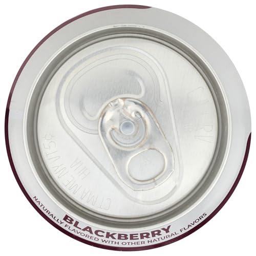 CLEAN CAUSE, YERBA MATE BLACKBERRY ORGANIC, 16 FL OZ
