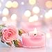Hestya 100 Pieces Candle Wicks Pre-Waxed Wick with Candle Wick Centering Device for DIY Candle Making, 6 Inch and 8 Inch Long