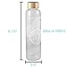 Vibe Bottle Glass Water Bottle 20 Ounce - Drink Clean Fresh Water, BPA-Free Reusable Glass for Beverages Smoothies - Scratch Proof Liquid Container with Nylon Sleeve Bamboo Lid - Durable Recyclable
