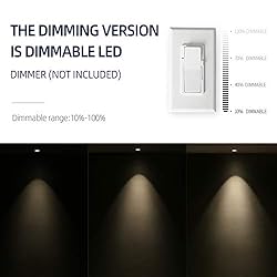 Aisilan LED COB Adjustable Dimmable Ceiling