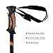 ENKEEO Trekking Poles Anti Shock & Quick Lock Hiking Poles Ultralight Collapsible Trail Walking Stick with Durable Aluminum (Black and Orange, 1 Pair / 2 Pack)