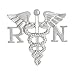 QIHOO Caduceus Angel Nursing Themed Charm Brooch Pin (Big RN)