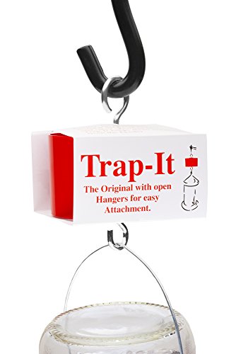 Trap-It Bird Feed Ant Moat (Red) - Image 7