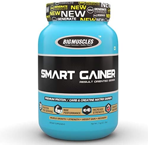 BIG MUSCLES Smart Gainer 2.2 Lbs (Malt Chocolate)
