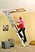 Louisville Ladder AA229GS Elite Aluminum Attic Ladder 350 Pound Capacity 22.5-Inch by 54-Inch Opening Ceiling Height 7-Foot-9-Inches to 10-Foot