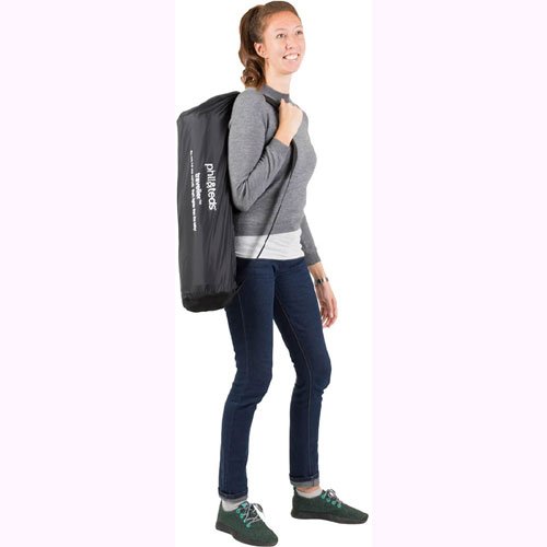 phil and ted traveller v4