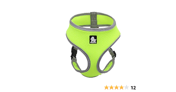 true love harness amazon