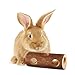 SunGrow Rabbit Pine Chew Log, 8 Inches, Raw Lumber, Molar Teeth Care Toy, Provides Physical and Psychological Benefits, Ideal for Hamster, Guinea Pig, Sussex, Lop and Chinchilla