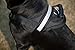 Geega Pet Soft Comfortable No Pull No Slip Adjustable Dog Vest Harness with Handle Reflective Strip for Small Medium Big Size Breed Outdoor Training Walking Hiking