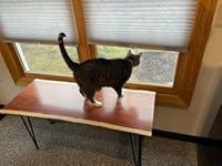 Review Image by Rolidnot Rolidnot