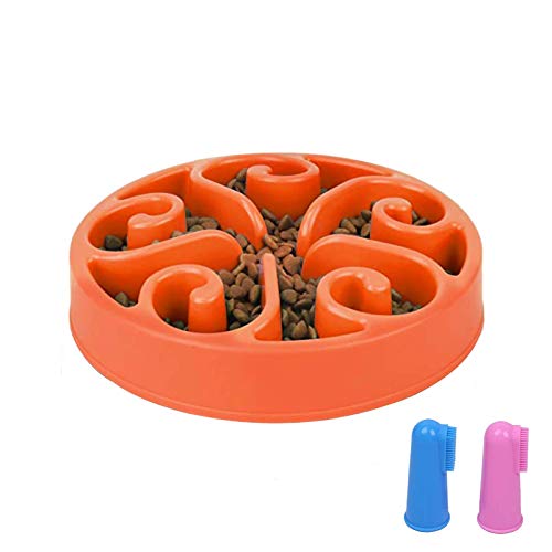 spiral dog dish
