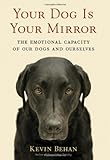 Your Dog Is Your Mirror: The Emotional Capacity of Our Dogs and Ourselves
