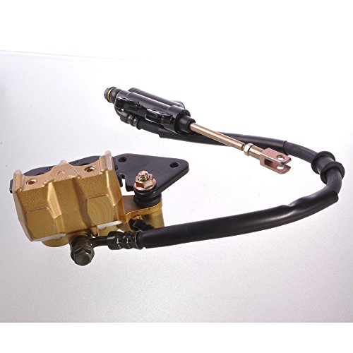 image for Wotefusi Brand New Rear Brake System Brake Disc Rotor Disk Kit Set Dir