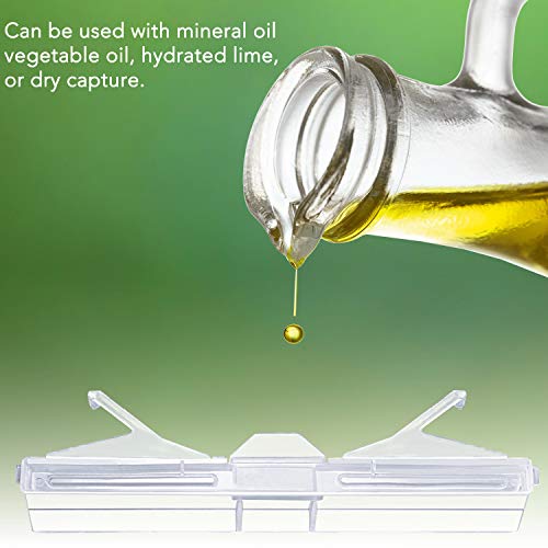 2 Plastic+Baitable+Reusable+Beekeeping+Supplies