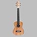 Caramel CT100 Zebra Wood Tenor Acoustic Electric Ukulele With Truss Rod