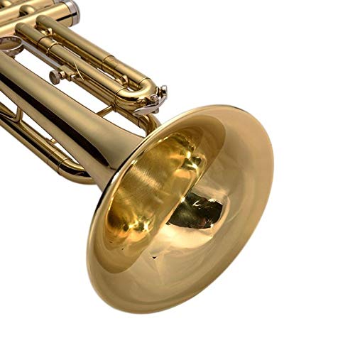MrBigDeal Beginner Trumpet in Gold Bb Kids Musical Brass Body ,Care Kit ,Case