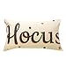 Decemter Hocus Pocus Halloween Cotton Linen Home Decor Cushion Covers Pack of 2, 12x20