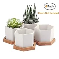 Succulent Pots,OAMCEG 2.75 inch Mini Succulent Plant Pots,Set of 4 White Ceramic Succulent Cactus Planter Pots with Bamboo Tray(Plants NOT Included)