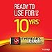 Eveready Gold Alkaline AAA Batteries, 12 Pack of Triple A Batteries