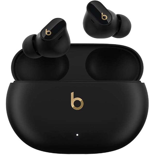 【保管・未使用品】Beats Studio Buds + ブラック 完品 Amazon.com: Beats Studio Buds + - Black / Gold with AppleCare+ (2