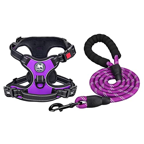 PoyPet Dog Harness Leash Set