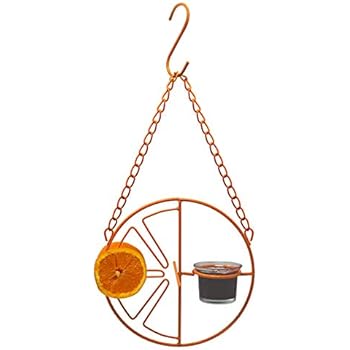 Amazon Com Perky Pet 253 Oriole Jelly Wild Bird Feeder Garden