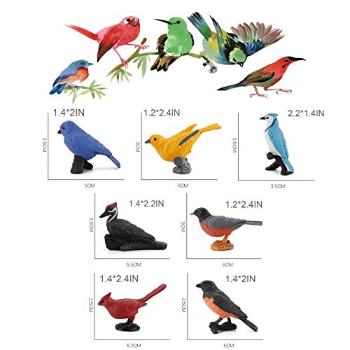 Toy Bird Figures Kids Small Plastic Bird Play Bird Kids Bird Model