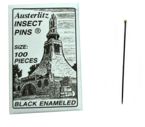 Premium Insect Entomology Dissection Museum