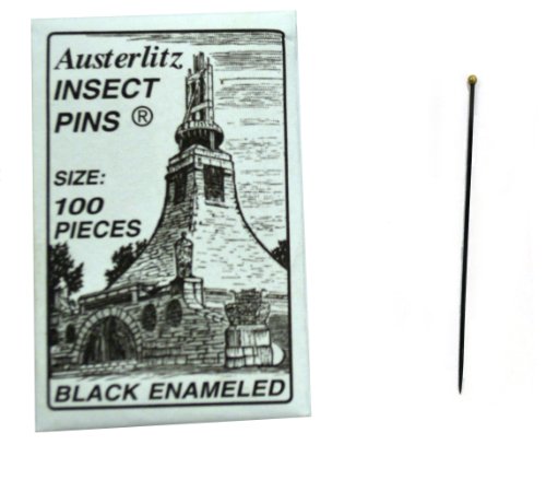 Premium Insect Entomology Dissection Pins, Size 00, Museum Grade, Pack of 100