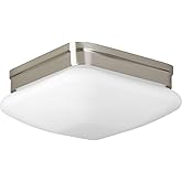 Progress Lighting 2-Light 9" Flush Mount, Appeal Collection, Indoor, P3549-09, Brushed Nickel