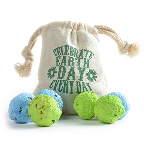 Bloomin Earth Day Wildflower Seed Bomb Bags (6 seed bombs per bag, 3 bags per pack)