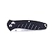 Knife F738 Firebird by Ganzo G738 Pocket Folding Hunting Knife G-10 Handle SS Blade (Black)