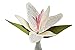 The Lord is My Shepherd/ 23rd Psalm Flower for Christian Women