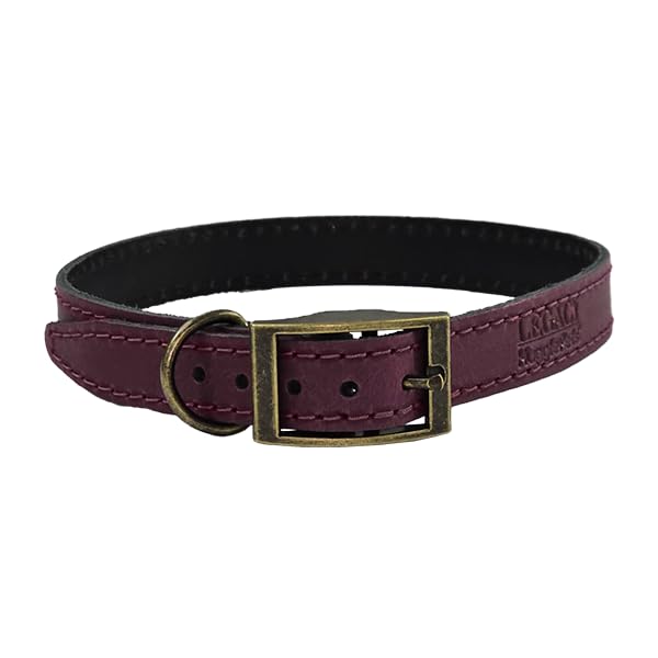 HugglePets Legacy Leather Dog Collar - Merlot (XX Large, 50-60cm) Strong & Durable Genuine Leather Collar for Large Dogs with Classic Brass Ring and Buckle Fastening.