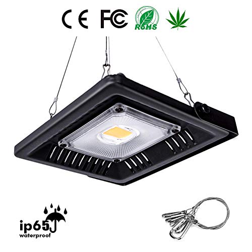 LED Plant Grow Light, YILUREN 100W Sunlight Waterproof Full Spectrum COB LED Grow Lamp for Indoor or Outdoor Plants Vegetables and Flower, Natural Heat Dissipation and Without Noise