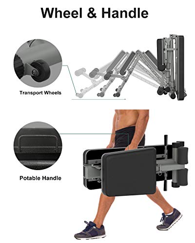 BARWING Adjustable Weight Bench- 800 lbs Folding Full Body Workout Bench with Dragon Flag, Automatic Lock Multi-Purpose Incline/Flat/Decline Bench for Home Gym Strength Training Gray
