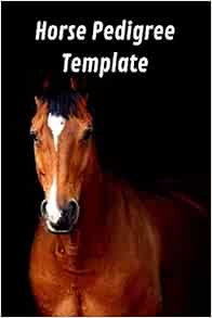Horse Pedigree Template A Horse Pedigree Template To Keep Record Of The 3 Generations Behind The Dog In Question Perfect Gift For Horse Breeders Press Lovely Pet Owner 9798669449209 Amazon Com Books