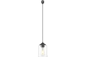 zeyu H Type Cord Adjustable Black Track Lighting Pendant, 1-Light Track Mount Light for Kitchen Island, Clear Glass Shade, Black Finish, ZSL104TP BK