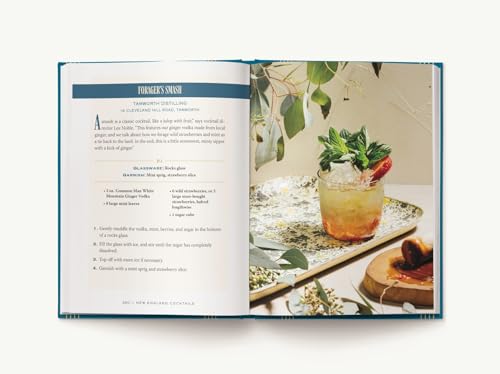 New England Cocktails: An Elegant Collection of Over 100 Recipes from the Northeast (City Cocktails)