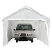 King Canopy Hercules with Enclosure Kit 10-Feet by 20-Feet, 2-Inch Steel Frame, 1.5 Purlins, 8-Leg, White