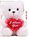 Ritmika Stuffed Teddy Bear Plush LED Toy with I Love You Heart Pillow, White 12