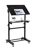Mount-It! Mobile Stand Up Desk, Portable Podium and
