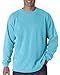 Chouinard Adult Ring Spun Bottom Hem Garment T-Shirt, Lagoon, Large