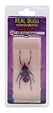 DeAgostini Real Bugs Red Palm Weevil Bug