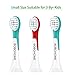 Bobohome Kids Sonic Care Replacement Toothbrush Heads Compatible with Philips Sonic Care Kids Series Electric Toothbrush (3 Pack Small+3 Pack Standard)
