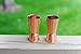 (Set of 2) Premium Quality Copper Shot Glasses / Jiggers - by Alchemade