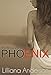 Phoenix: The Beauty in Between (Beautiful Series 1.5)