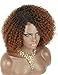 Kalyss Ombre brown Short Afro Kinky Curly Wigs for Black Women Side Curved Part Natural Looking Big,Bouncy and Super Soft Premium Synthetic Afro Curls Wigs for Women